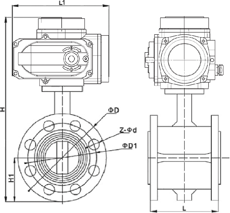 D941X-16P電動對夾蝶閥結構圖.jpg